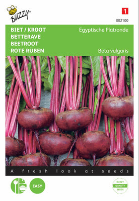 Betterave / Kroot égyptienne plate ronde