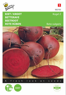 Boule de betterave 2