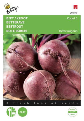 Betterave / Kroot Kogel 5, Lok