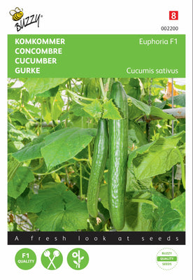 Euphorie du concombre F1