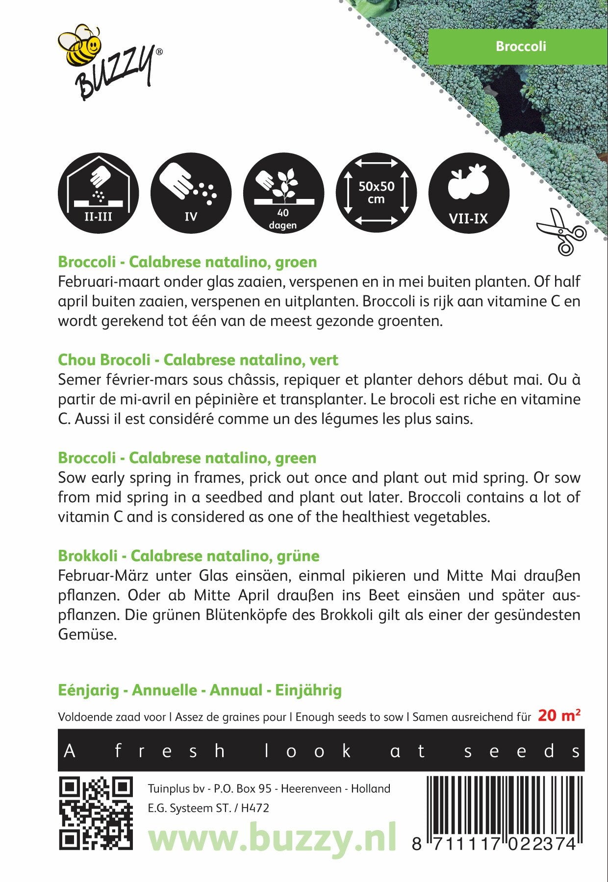 Broccoli Calabrese natalino, groen - Zaden