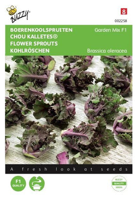 Pousses de chou frisé, Kalettes® Garden Mix F1
