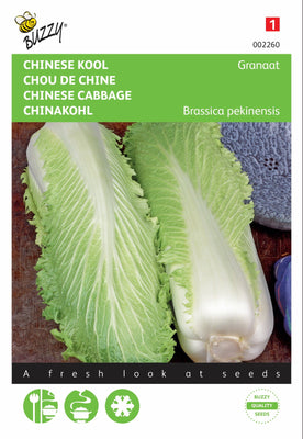 Chou chinois Grenade