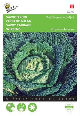 chou de Savoie noyaux vert foncé