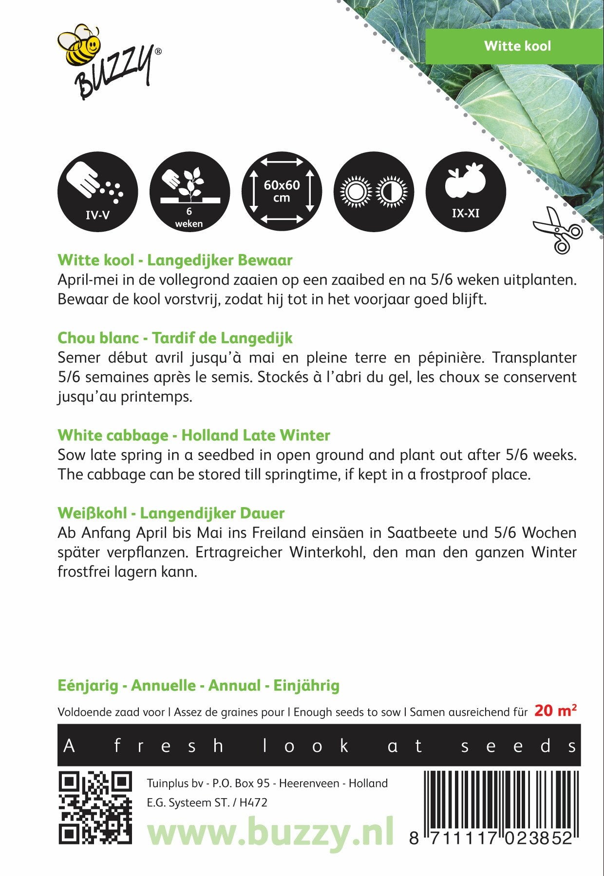 Witte kool Langedijker Bewaar - Zaden