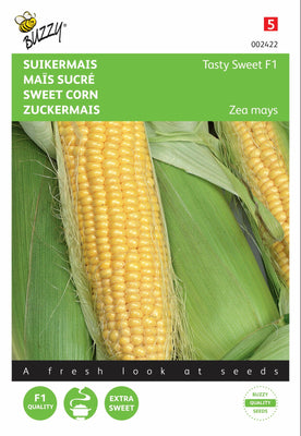 Maïs doux savoureux F1