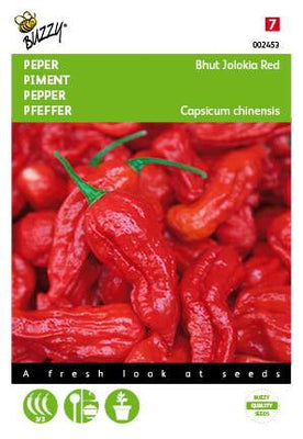 Piment Bhut Jolokia rouge