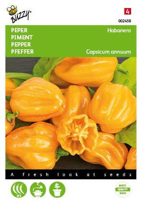 Piment habanero orange