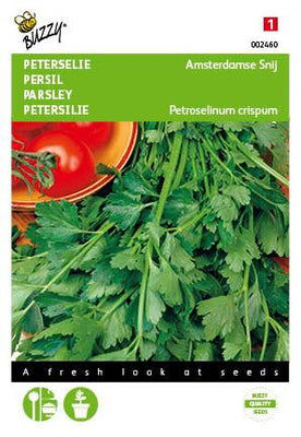 Persil coupé à l'Amsterdam