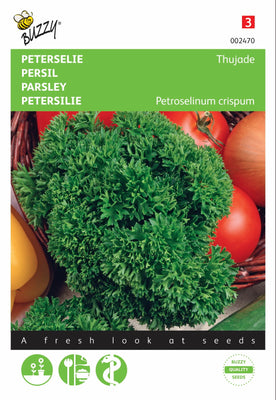 Persil Thujade, vert foncé