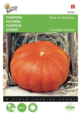 Rouge citrouille d'Étampes