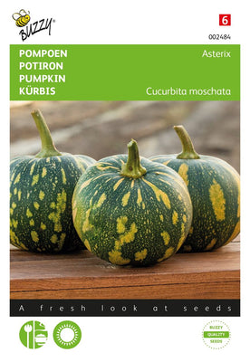 Astérix citrouille (imprimé panthère)