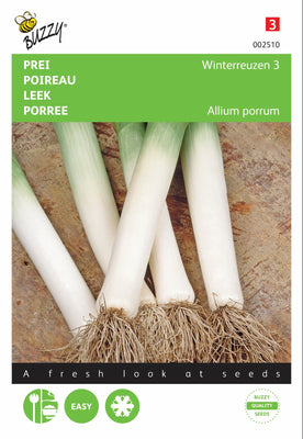 Poireau Géants d'Hiver 3