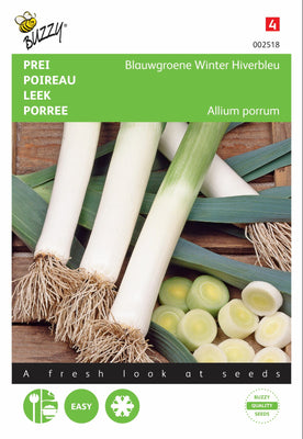 Poireau bleu-vert Hiver, Hiverbleu