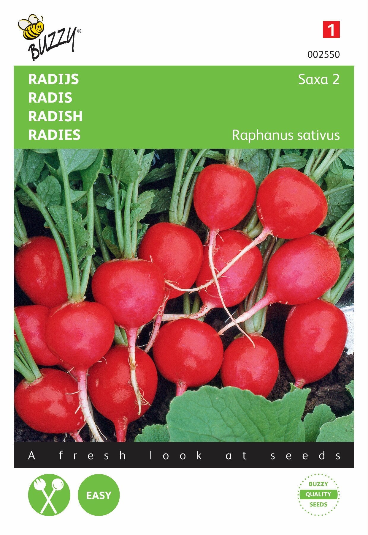 Radijs Saxa 2 - Zaden