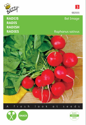 Image de radis Bel, endive rouge ronde