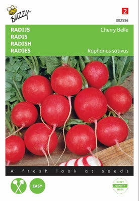 Radis Cerise Belle