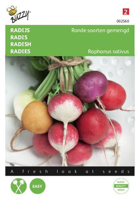 Variétés rondes de radis mélangées