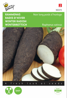 Radis noir Noir longues gousses d'horloge