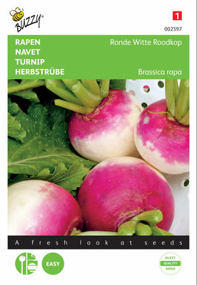 Navet Rond Blanc Rousse, la Nancy