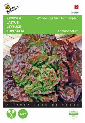 La laitue merveilleuse des quatre saisons