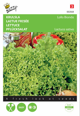 Laitue frisée Lollo Bionda