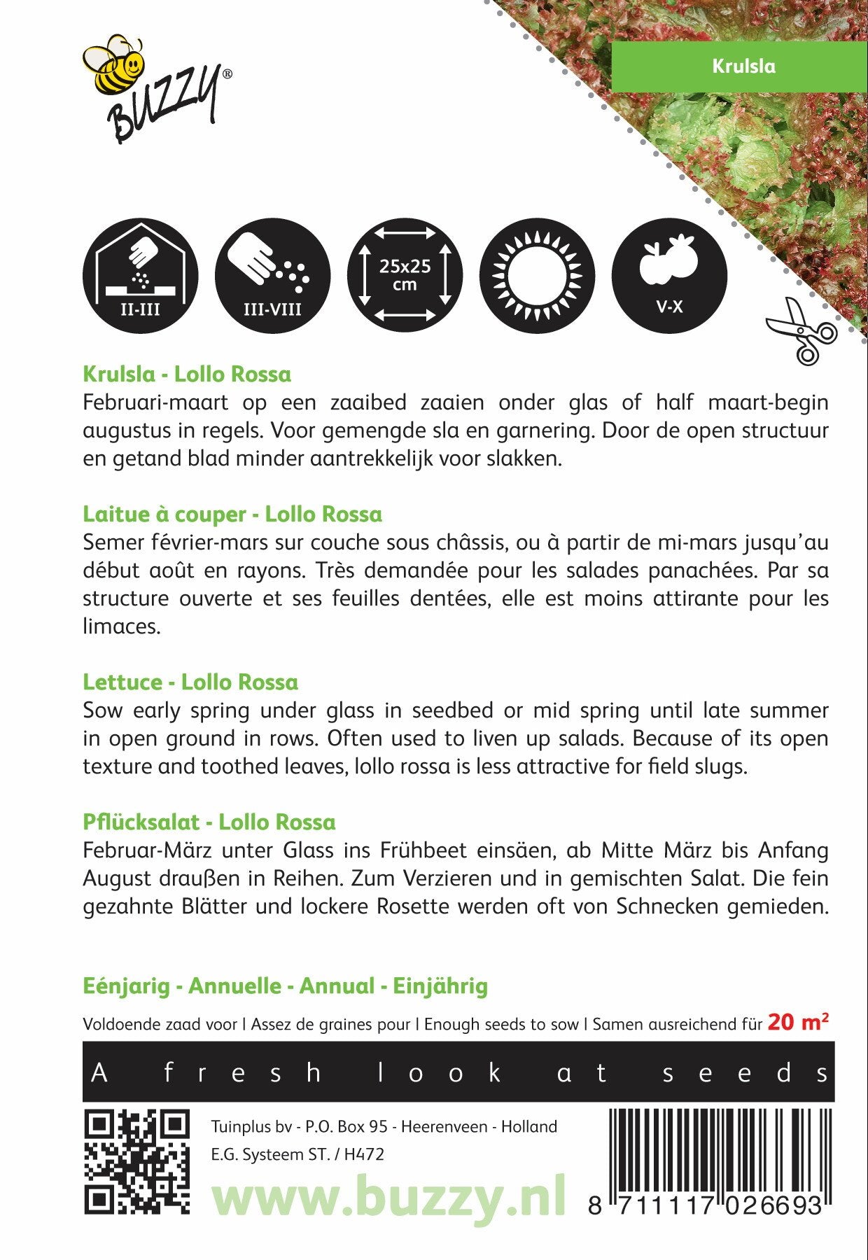 Krulsla Lollo Rossa - Zaden