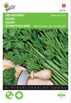 Céleri coupé en morceaux réguliers