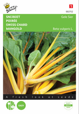 Bette à carde jaune ornementale