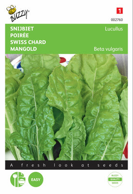 Bette à carde Lucullus