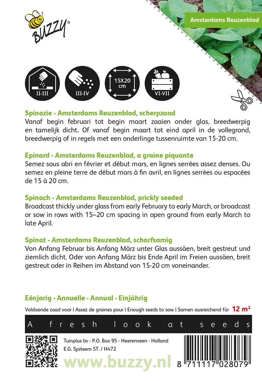 Spinazie Amsterdams Reuzenblad scherpzaad - Zaden