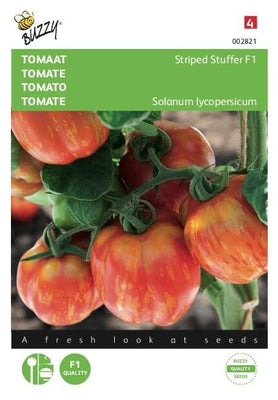 Tomates rayées F1