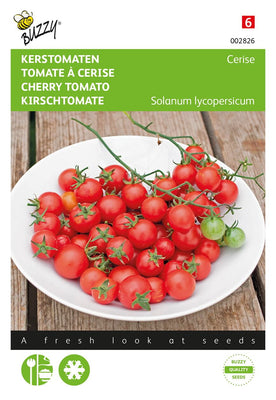 Tomates cerises Cerise