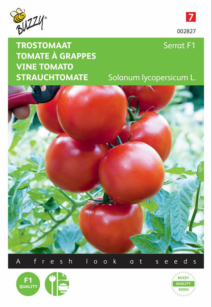 Trostomaat Serrat F1 - Zaden