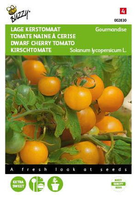 Tomate Gourmandise (patio cerise jaune)