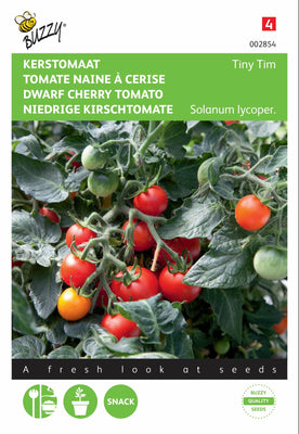 Tomate cerise Tiny Tim