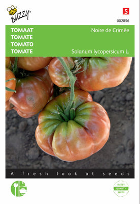 Tomate noire de Crimée