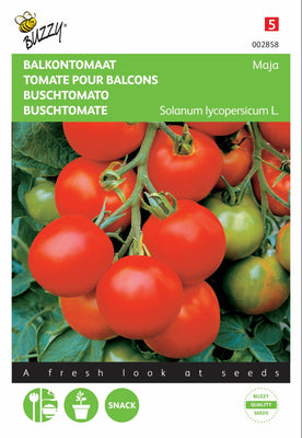 Tomate du balcon Maja