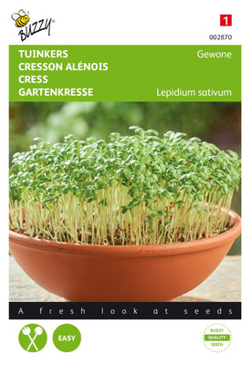 Cresson alénois commun