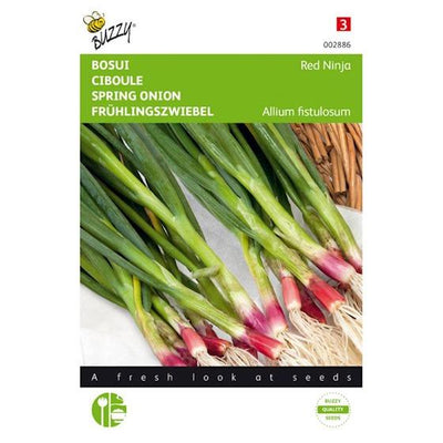 Oignons rouges nouveaux