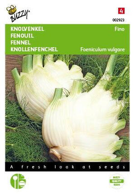 Fenouil (Zefa) Fino