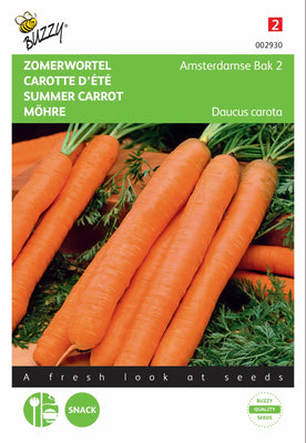 Carottes d'été Amsterdamse Bak 2