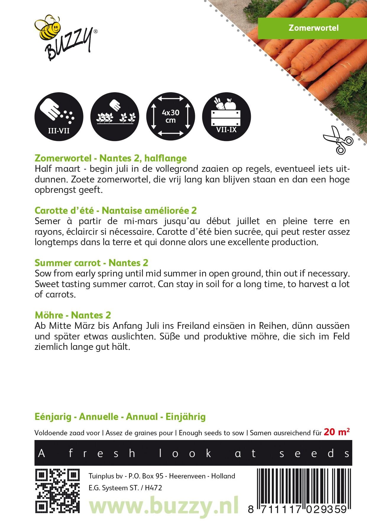 Zomerwortel Nantes 2, halflange - Zaden