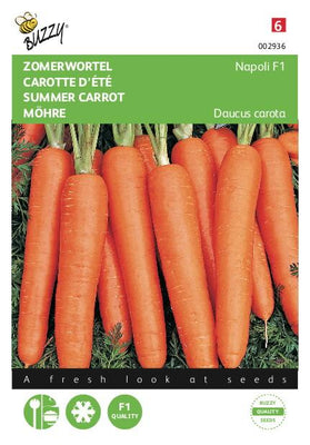 Carotte d'été Naples F1