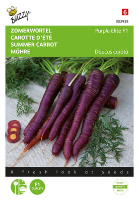 Carottes Purple Elite F1
