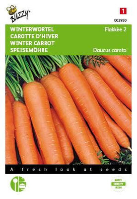 Carottes Flakkée 2