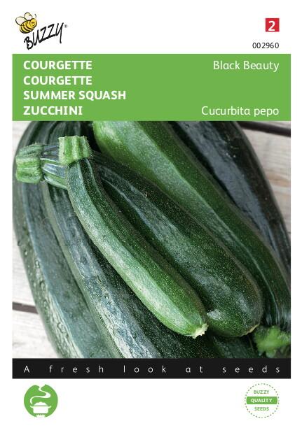 Courgette Black Beauty - Verte De Milan - Zaden