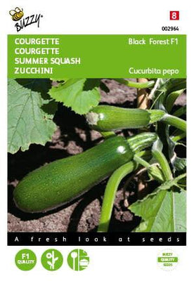Courgettes grimpantes Forêt-Noire F1