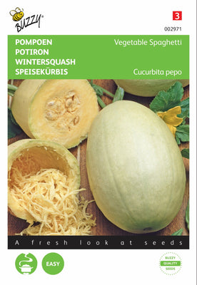 Spaghettis aux légumes et à la citrouille