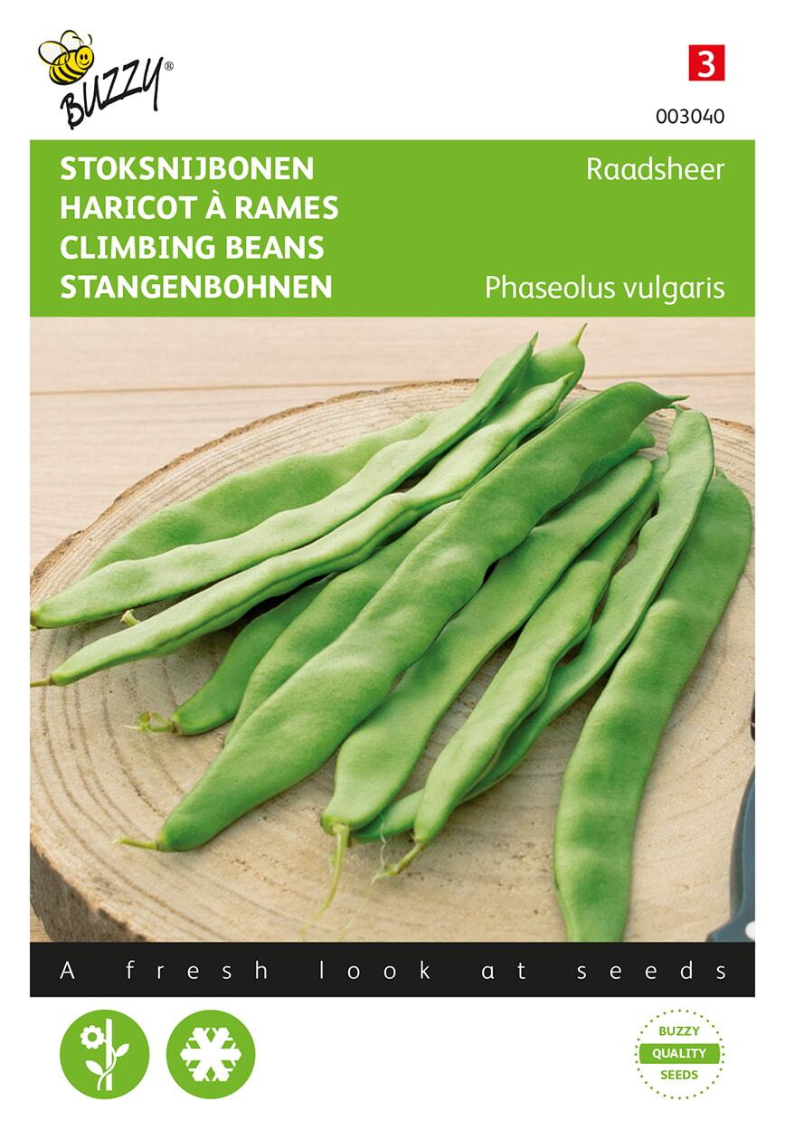Stoksnijbonen Raadsheer, type Veense - Zaden